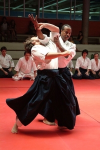 The Aikido Way The Aikido Way