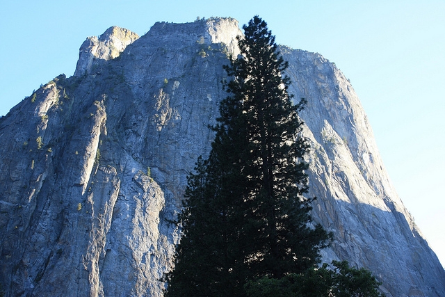 Perspective Perspective