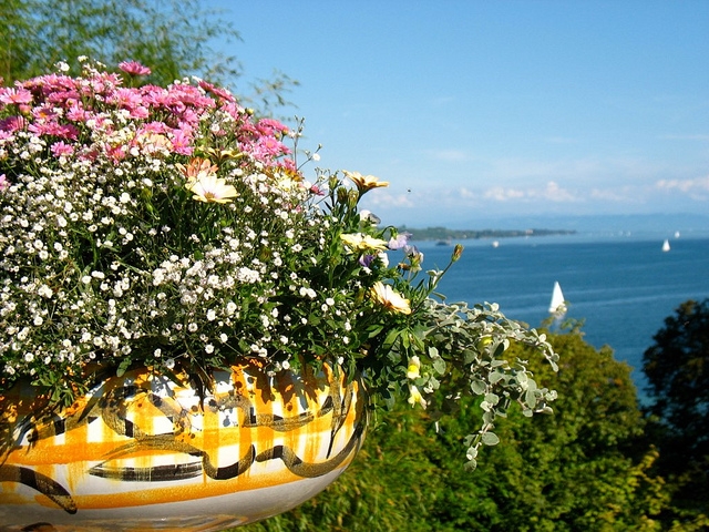 Results of Gardening